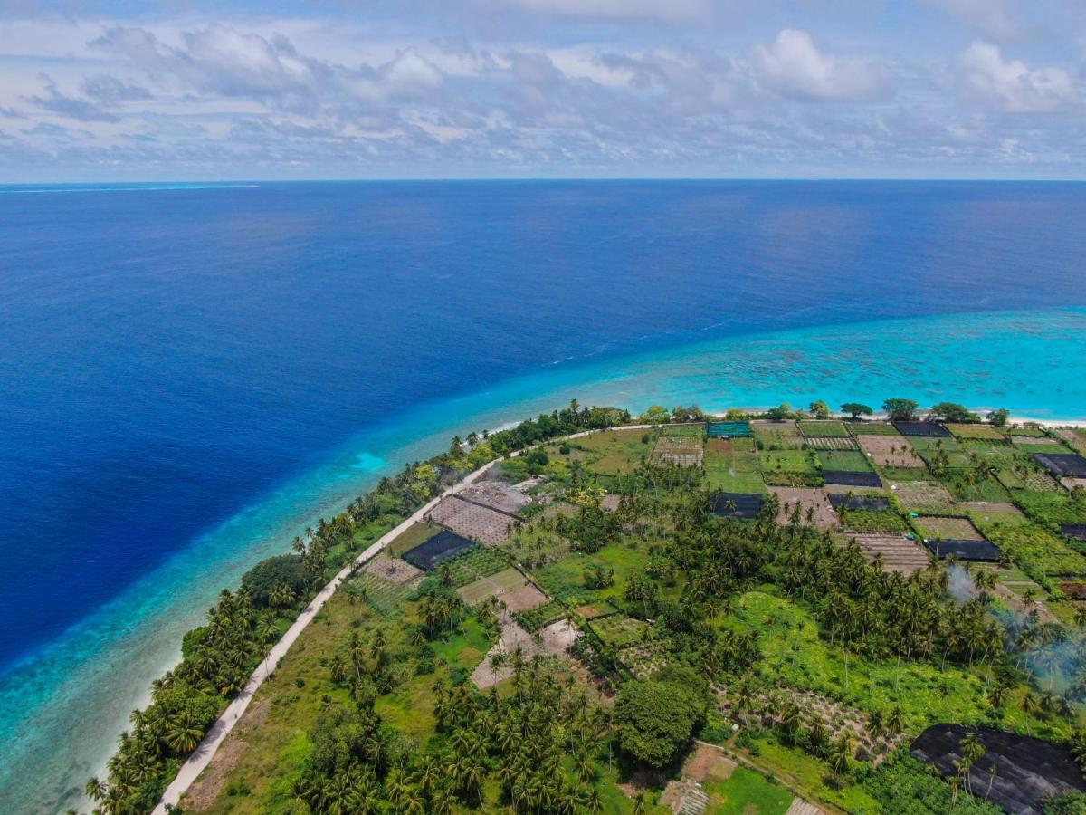 Jeym Lodge Тодду Экстерьер фото